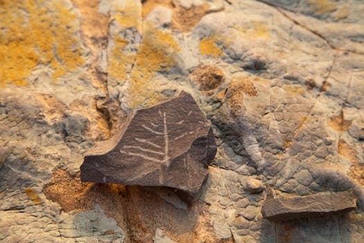 Revolutionizing Geology: How 4D Visualization Enhances Earth Studies